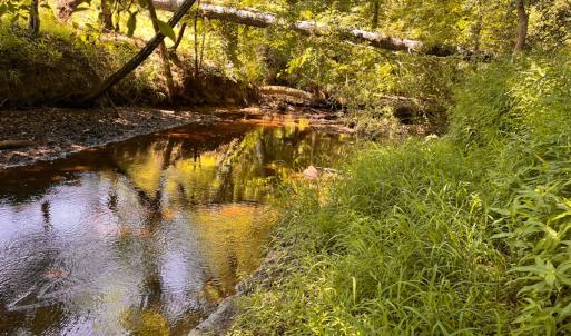 Photo #5 of Off of Moore's Ferry Rd, Skippers, VA 229.0 acres