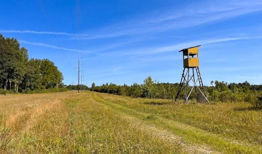 Photo #6 of Off of Moore's Ferry Rd, Skippers, VA 229.0 acres