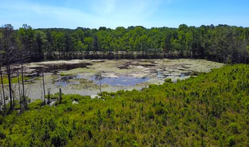 Photo #9 of Off of Moore's Ferry Rd, Skippers, VA 229.0 acres