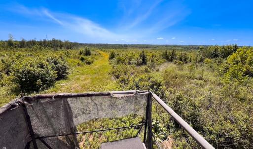 Photo #41 of Off of Moore's Ferry Rd, Skippers, VA 229.0 acres