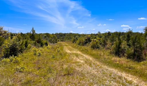 Photo #44 of Off of Moore's Ferry Rd, Skippers, VA 229.0 acres