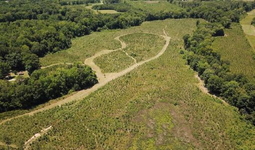 Photo #3 of Off of Spring Church Road, Skippers, VA 43.0 acres