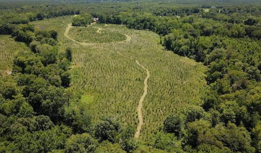 Photo #4 of Off of Spring Church Road, Skippers, VA 43.0 acres
