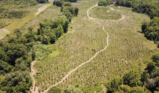 Photo #5 of Off of Spring Church Road, Skippers, VA 43.0 acres