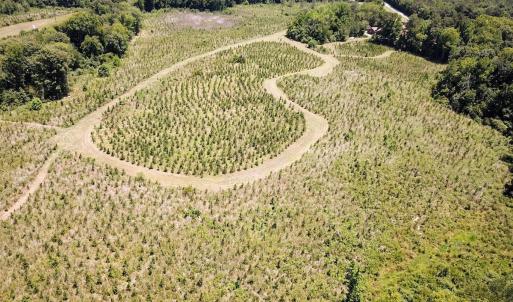 Photo #6 of Off of Spring Church Road, Skippers, VA 43.0 acres