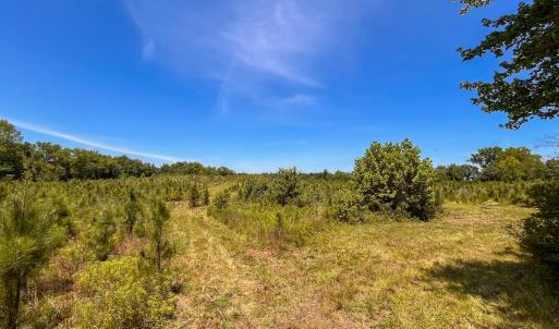 Photo #7 of Off of Spring Church Road, Skippers, VA 43.0 acres