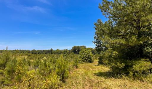 Photo #8 of Off of Spring Church Road, Skippers, VA 43.0 acres