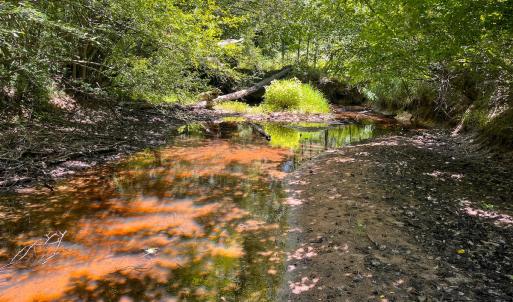 Photo #9 of Off of Spring Church Road, Skippers, VA 43.0 acres