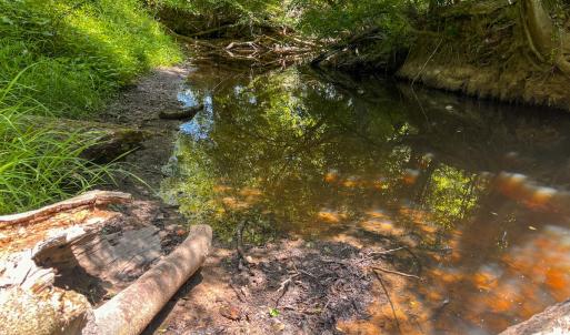 Photo #11 of Off of Spring Church Road, Skippers, VA 43.0 acres