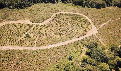Photo #14 of Off of Spring Church Road, Skippers, VA 43.0 acres