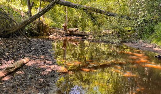 Photo #15 of Off of Spring Church Road, Skippers, VA 43.0 acres