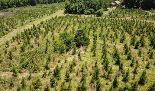 Photo #17 of Off of Spring Church Road, Skippers, VA 43.0 acres