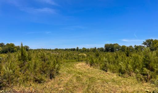 Photo #19 of Off of Spring Church Road, Skippers, VA 43.0 acres