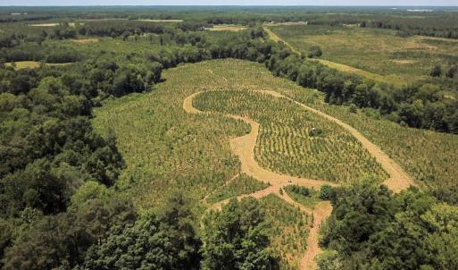 Photo #1 of Off of Spring Church Road, Skippers, VA 43.0 acres