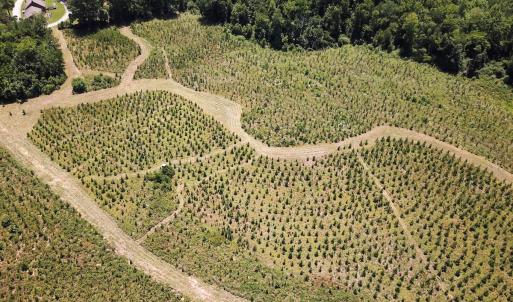 Photo #20 of Off of Spring Church Road, Skippers, VA 43.0 acres