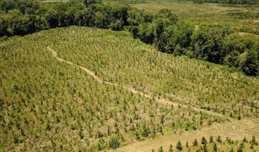 Photo #21 of Off of Spring Church Road, Skippers, VA 43.0 acres