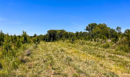 Photo #22 of Off of Spring Church Road, Skippers, VA 43.0 acres