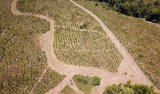 Photo #24 of Off of Spring Church Road, Skippers, VA 43.0 acres