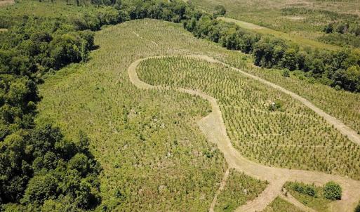 Photo #25 of Off of Spring Church Road, Skippers, VA 43.0 acres