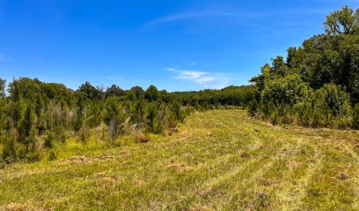 Photo #28 of Off of Spring Church Road, Skippers, VA 43.0 acres