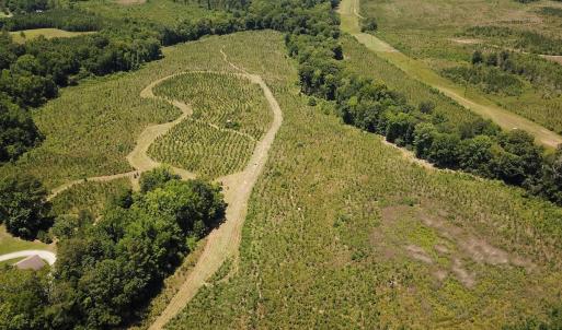 Photo #29 of Off of Spring Church Road, Skippers, VA 43.0 acres