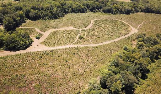 Photo #30 of Off of Spring Church Road, Skippers, VA 43.0 acres