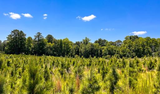 Photo #31 of Off of Spring Church Road, Skippers, VA 43.0 acres