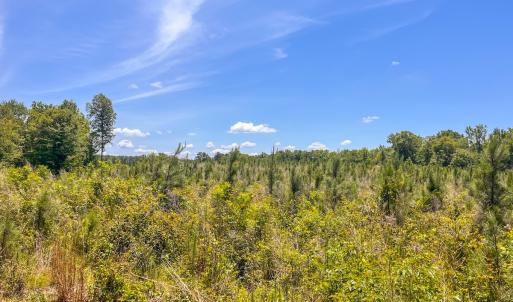 Photo #32 of Off of Spring Church Road, Skippers, VA 43.0 acres