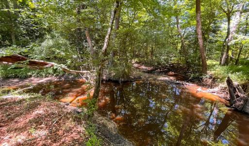 Photo #33 of Off of Spring Church Road, Skippers, VA 43.0 acres
