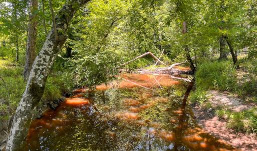 Photo #34 of Off of Spring Church Road, Skippers, VA 43.0 acres