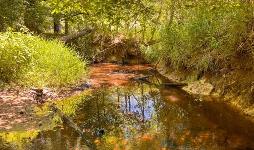 Photo #35 of Off of Spring Church Road, Skippers, VA 43.0 acres