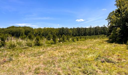 Photo #37 of Off of Spring Church Road, Skippers, VA 43.0 acres