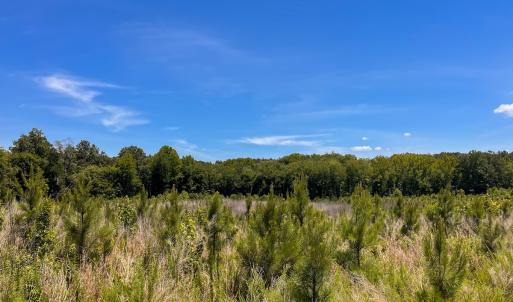 Photo #38 of Off of Spring Church Road, Skippers, VA 43.0 acres