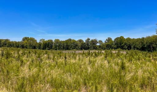 Photo #39 of Off of Spring Church Road, Skippers, VA 43.0 acres