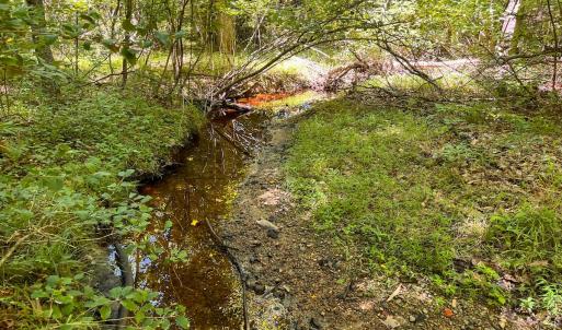 Photo #40 of Off of Spring Church Road, Skippers, VA 43.0 acres