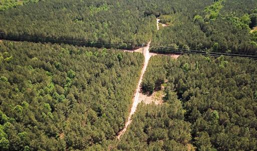 Photo #2 of Off of Moore's Ferry Road, Skippers, VA 145.0 acres
