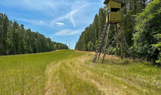 Photo #3 of Off of Moore's Ferry Road, Skippers, VA 145.0 acres