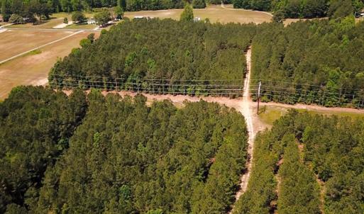Photo #4 of Off of Moore's Ferry Road, Skippers, VA 145.0 acres