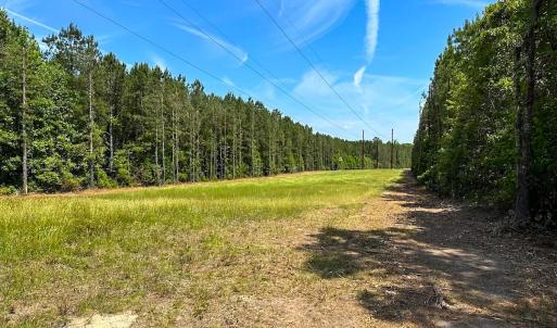 Photo #6 of Off of Moore's Ferry Road, Skippers, VA 145.0 acres
