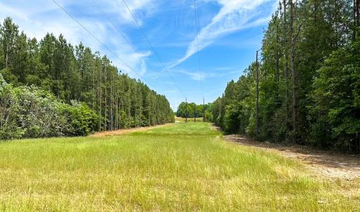 Photo #7 of Off of Moore's Ferry Road, Skippers, VA 145.0 acres