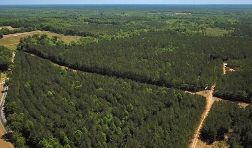 Photo #11 of Off of Moore's Ferry Road, Skippers, VA 145.0 acres
