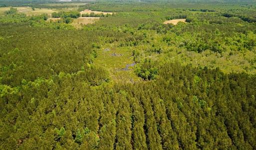 Photo #12 of Off of Moore's Ferry Road, Skippers, VA 145.0 acres