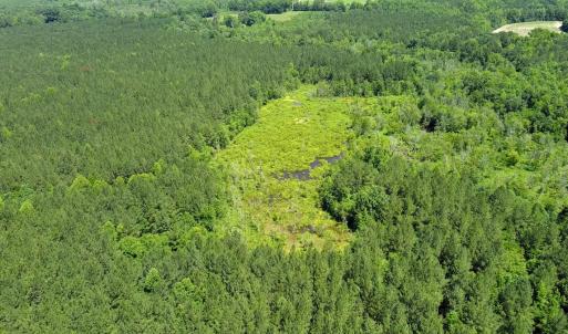 Photo #13 of Off of Moore's Ferry Road, Skippers, VA 145.0 acres