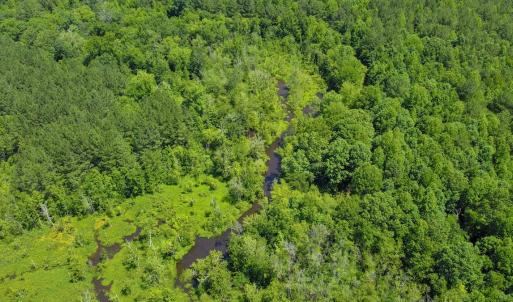 Photo #14 of Off of Moore's Ferry Road, Skippers, VA 145.0 acres