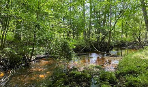 Photo #15 of Off of Moore's Ferry Road, Skippers, VA 145.0 acres
