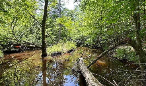 Photo #16 of Off of Moore's Ferry Road, Skippers, VA 145.0 acres
