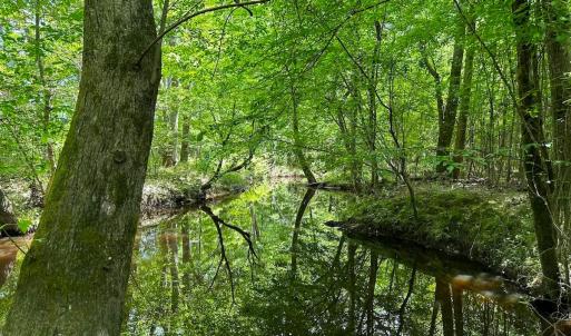 Photo #17 of Off of Moore's Ferry Road, Skippers, VA 145.0 acres
