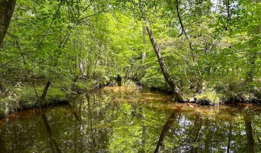 Photo #18 of Off of Moore's Ferry Road, Skippers, VA 145.0 acres