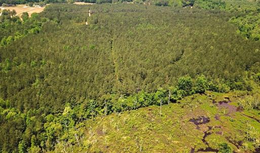 Photo #19 of Off of Moore's Ferry Road, Skippers, VA 145.0 acres