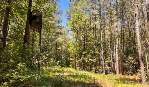 Photo #20 of Off of Moore's Ferry Road, Skippers, VA 145.0 acres